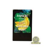 Aromat do papierosów Iguana blue limited Aroma oil  5 ml  banana mint + wkład dyfuzor 