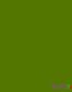 Farba Molotow ™ Belton PREMIUM 400 ml fern green 164