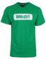 Koszulka T-SHIRT Diil gang Frame green 