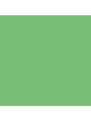 Farba MONTANA HARDCORE 2 400ml rv-362 mantis green